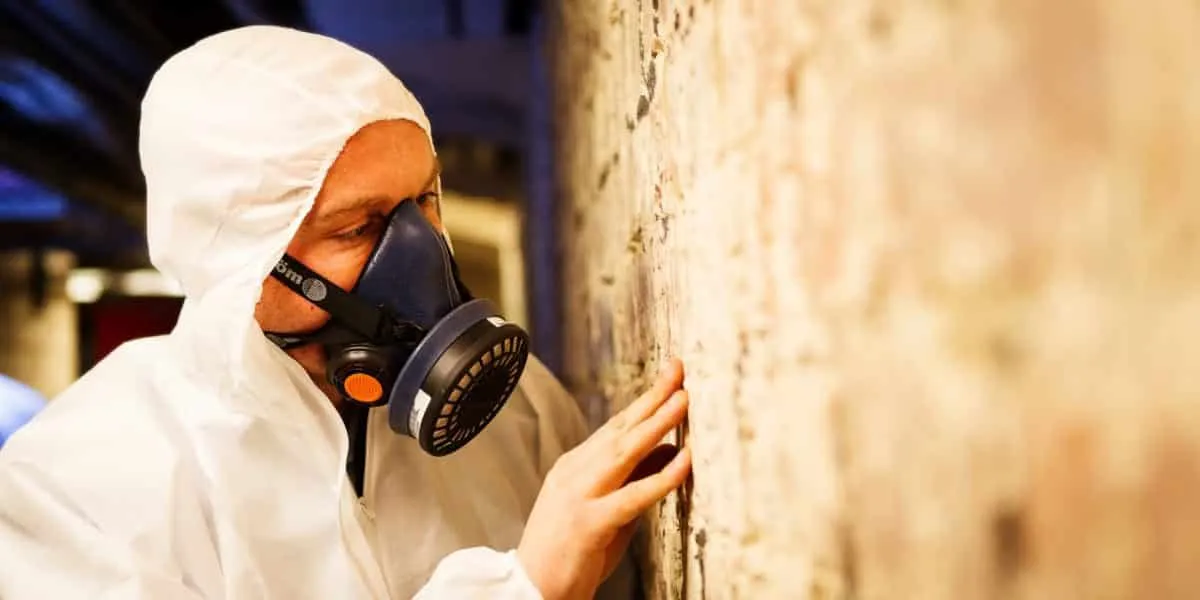 Asbestos designer inspecting a wall