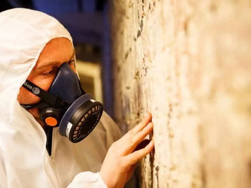 Asbestos designer reviewing project plans